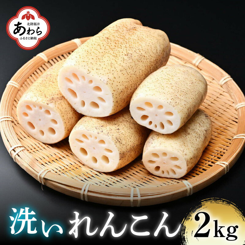 【ふるさと納税】【先行予約】洗いれんこん 2kg 《発送直前に収穫してお届け！》 シャキっとした歯触り！／ 有機肥料 低農薬 蓮根 レンコン 野菜 根菜 ※2023年11月中旬以降順次発送