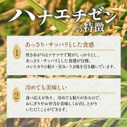 【ふるさと納税】【令和5年産】《定期便》5kg×12回 60kg 特別栽培米 ハナエチゼン 無洗米 低農薬 《食味値85点以上！こだわり極上無洗米》 / 福井県 あわら 北陸 米 お米 人気 新米･･･ 画像2