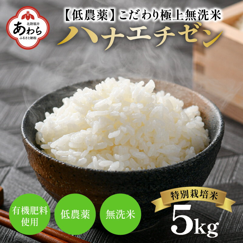 [令和5年産]特別栽培米 ハナエチゼン 5kg 無洗米 低農薬 [こだわり極上無洗米] / 福井県 あわら 北陸 米 お米 人気