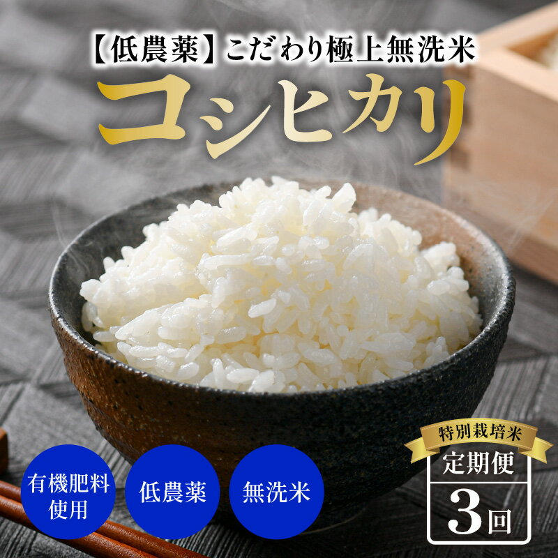 【ふるさと納税】【令和5年産】《定期便》5kg×3回 15kg 特別栽培米 コシヒカリ 無洗米 低農薬 《食味値85点以上！こだわり極上無洗米》 / 福井県 あわら 北陸 米 お米 人気