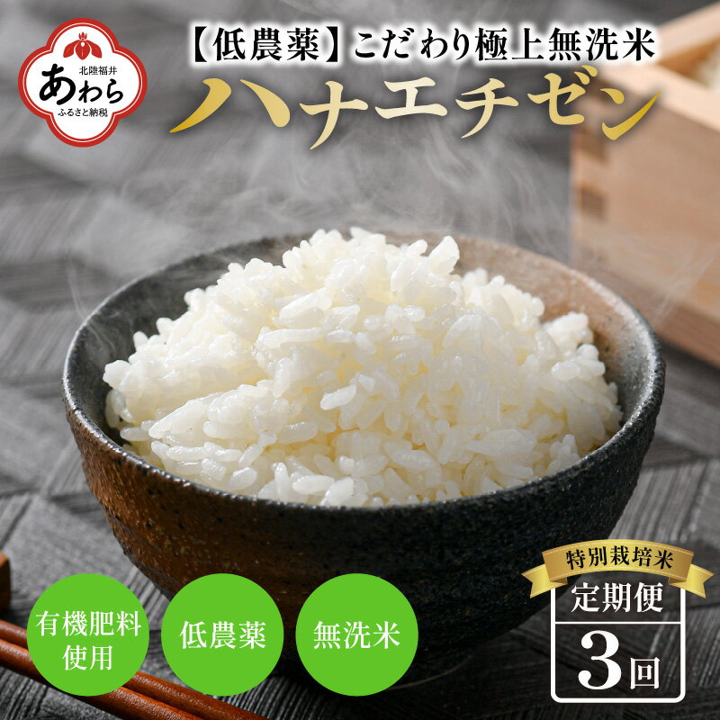 [令和5年産][定期便]5kg×3回 15kg 特別栽培米 ハナエチゼン 無洗米 低農薬 [こだわり極上無洗米] / 福井県 あわら 北陸 米 お米 人気