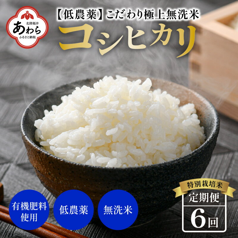 【ふるさと納税】【令和5年産】《定期便》5kg×6回 30k