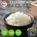 【ふるさと納税】【令和5年産】《定期便》5kg×6回 30kg 特別栽培米 ハナエチゼン 無洗米 低農薬 《食味値85点以上！こだわり極上無洗米》 / 福井県 あわら 北陸 米 お米 人気