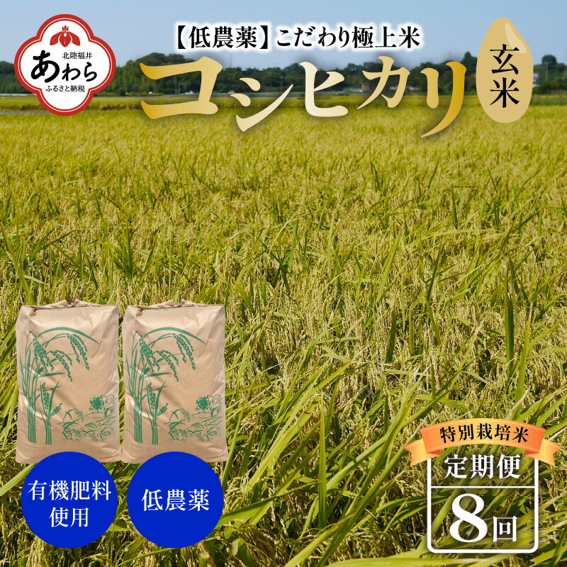 【ふるさと納税】【令和5年産】《定期便》60kg×8回 480kg 田んぼ一反分 特別栽培米 コシヒカリ 玄米 低農薬 《食味値85点以上！こだわり極上玄米》 / 福井県 あわら 北陸 米 お米 人気