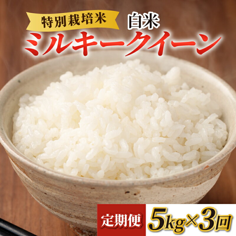 【ふるさと納税】【令和5年産】《定期便3回》特別栽培米 ミルキークイーン 白米 5kg ／ 農薬不使用 化学肥料不使用 ご飯 北陸 福井県 あわら市産 お米 ブランド米