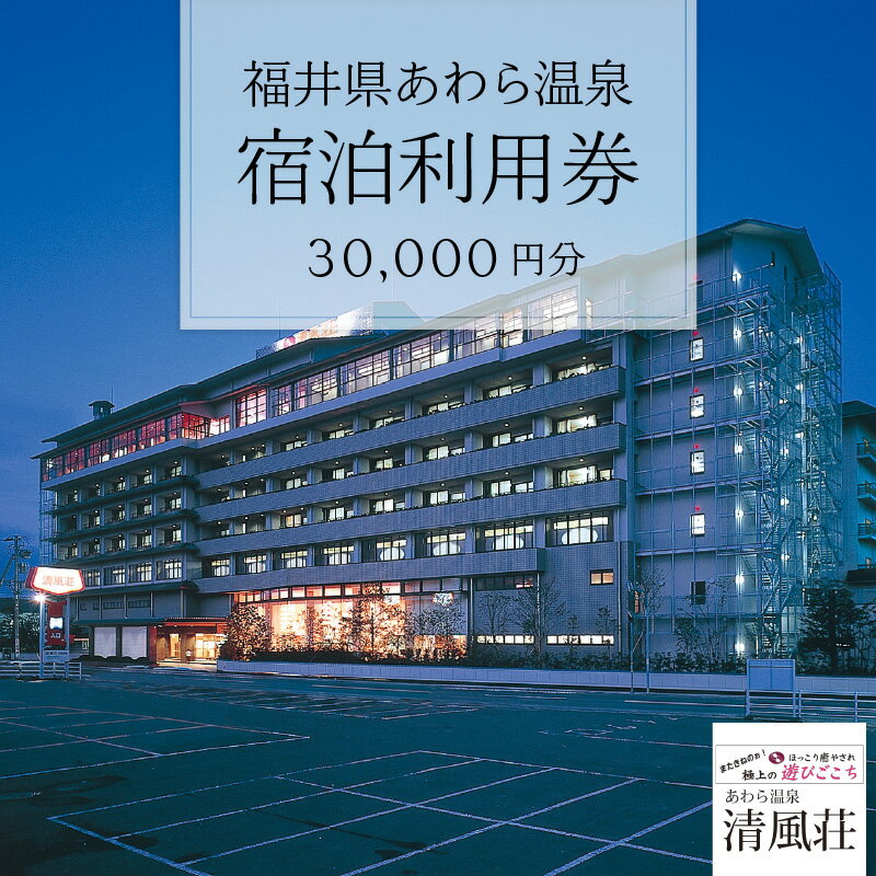 【ふるさと納税】あわら温泉 宿泊利用券 30,000円分 l 宿泊券 利用券 旅館 ホテル チケット ペア 観光 旅行 源泉 大浴場 露天風呂