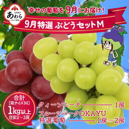 【ふるさと納税】【先行予約】9月特選 ぶどうセットM 1kg以上（2～3房）／ 葡萄 クイーンニーナ 品種 おまかせ あわら 農家おすすめ ※2024年9月より順次発送