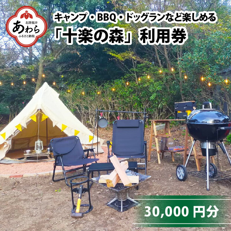 【ふるさと納税】「十楽の森」 30,000円分 利用券 ＜キャンプ・BBQ・ドッグラン・飲食楽しめる ...