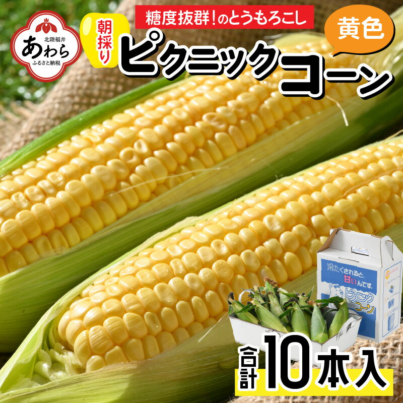 【ふるさと納税】朝採り ピクニックコーン 黄色 10本入《生でも食べれる！希少品》 ／ 野菜 とうもろこし スイートコーン