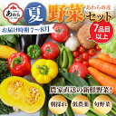 【ふるさと納税】【先行予約】農家直送 夏野菜セット 1箱 7品目以上 《元気に育った新鮮野菜！》／ 5000円 季節 夏 野菜 ボックス BOX セット セレクト 農家 おまかせ 多品目 旬 詰め合わせ ※2024年7月中旬以降発送 その1