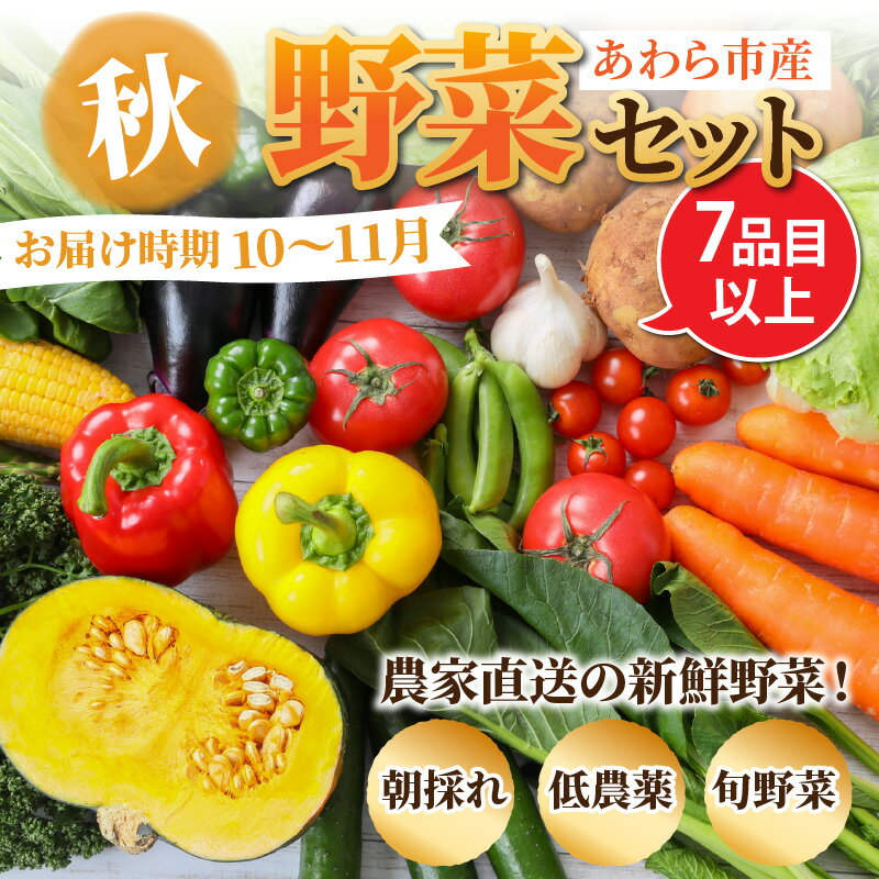 【ふるさと納税】【先行予約】農家直送 秋野菜セット 1箱 7品目以上 《元気に育った新鮮野菜！》／ 5000円 季節 秋 野菜 ボックス BOX セット セレクト 農家 おまかせ 多品目 旬 詰め合わせ 福井 あわら市 ※2024年10月下旬以降発送