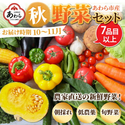 【先行予約】農家直送 秋野菜セット 1箱 7品目以上 《元気に育った新鮮野菜！》／ 5000円 季節 秋 野菜 ボックス BOX セット セレクト 農家 おまかせ 多品目 旬 詰め合わせ 福井 あわら市 ※2024年10月下旬以降発送