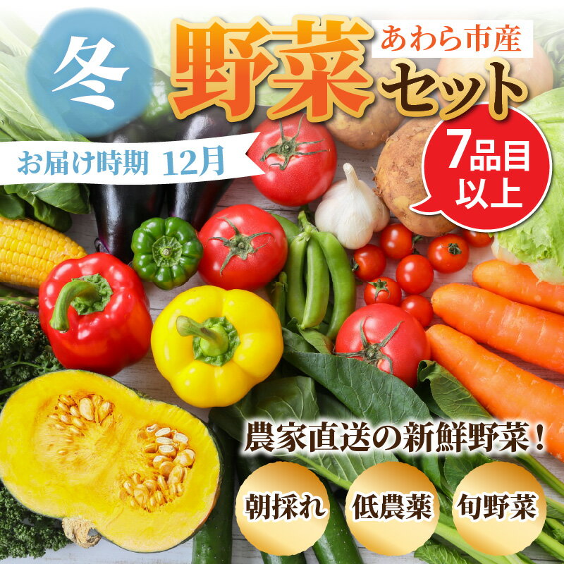 【ふるさと納税】【先行予約】農家直送 冬野菜セット 1箱 7品目以上 《元気に育った新鮮野菜！》／ 5000円 季節 冬 野菜 ボックス BOX セット セレクト 農家 おまかせ 多品目 旬 詰め合わせ ※2024年12月上旬以降発送