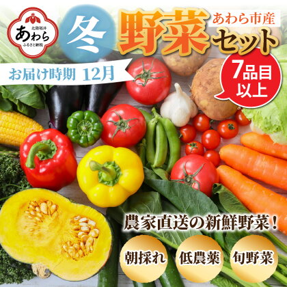 【先行予約】農家直送 冬野菜セット 1箱 7品目以上 《元気に育った新鮮野菜！》／ 5000円 季節 冬 野菜 ボックス BOX セット セレクト 農家 おまかせ 多品目 旬 詰め合わせ ※2024年12月上旬以降発送