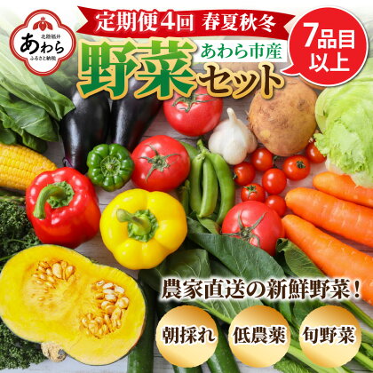 ＜定期便 4回＞ 新鮮野菜セット 1箱 7品目以上 【春 夏 秋 冬 発送】／ 季節 野菜 ボックス BOX セット セレクト 農家 おまかせ 多品目 旬 詰め合わせ 根菜 葉物