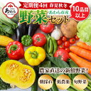 【ふるさと納税】＜定期便 4回＞ 新鮮野菜セット 1箱 10品目以上 【春 夏 秋 冬 発送】／ 季節 野菜 ボックス BOX セット セレクト 農家 おまかせ 多品目 旬 詰め合わせ 根菜 葉物･･･