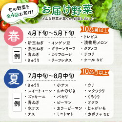 【ふるさと納税】＜定期便 4回＞ 新鮮野菜セット 1箱 10品目以上 【春 夏 秋 冬 発送】／ 季節 野菜 ボックス BOX セット セレクト 農家 おまかせ 多品目 旬 詰め合わせ 根菜 葉物･･･ 画像2