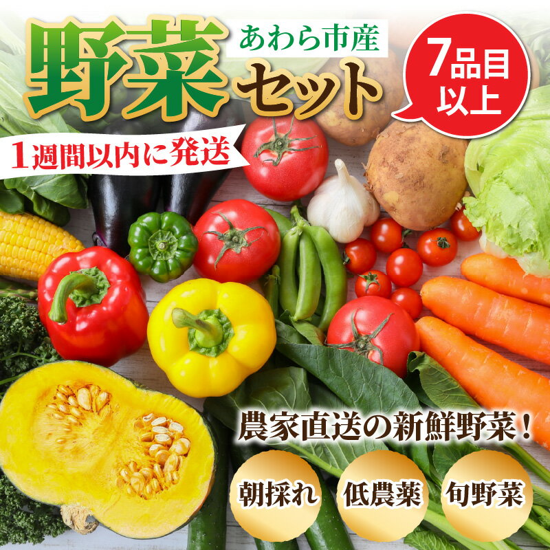 【ふるさと納税】【1週間以内に発送！】農家直送 旬の野菜セット 7品目以上 1箱 ／ 5000円 季節 野菜 ボックス BOX セット セレクト 農家 おまかせ 多品目 旬 詰め合わせ 根菜 葉物