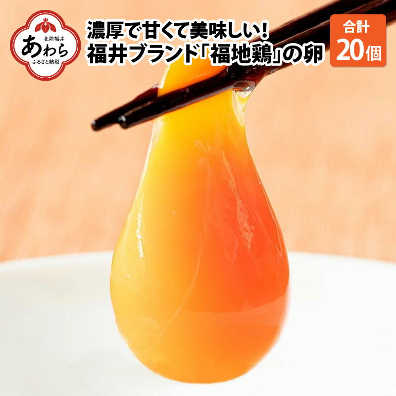 【ふるさと納税】濃厚で甘くておいしい！ 福井ブランド「福地鶏」の卵 20個（10個入×2パック）