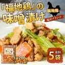 【ふるさと納税】福地鶏 味噌漬け 200g 5袋 《焼くだけ簡単 旨味たっぷり》 ／ 福井ブランド 鶏肉 チキン おつまみ ギフト 贈答