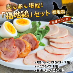 【ふるさと納税】福井ブランド「福地鶏」セット（モモロール・ハムスライス・卵）お肉も卵も堪能できる！ 画像1