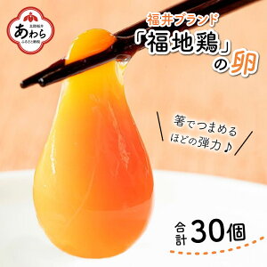 【ふるさと納税】濃厚で甘くておいしい！ 福井ブランド「福地鶏」の卵 30個（15個入×2段）