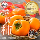 5位! 口コミ数「0件」評価「0」【先行予約】越前柿 36個入 約6kg（M～2L）≪JA受賞歴親子2代≫ ／ 果物 フルーツ 柿 産地直送 期間限定 ※2024年11月上旬･･･ 