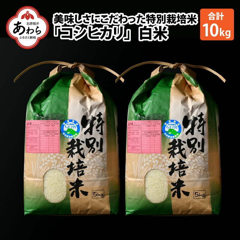 【ふるさと納税】特別栽培米「コシヒカリ」 白米5kg×2 計10kg ≪無農薬・化学...