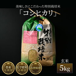 【ふるさと納税】【先行予約】【令和5年産新米】コシヒカリ 玄米 5kg 特別栽培米 農薬不使用 化学肥料不使用 ／ 高品質 鮮度抜群 福井県産 ブランド米･･･ 画像2