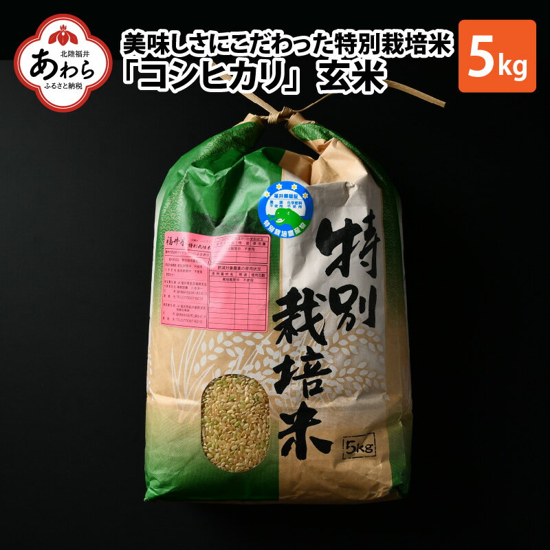 【ふるさと納税】令和4年産 新米 特別栽培米 コシヒカリ 5kg 玄米 無農薬 有機肥料 福井県産 ブランド米 農家直送 産地直送 ごはん おにぎり 弁当