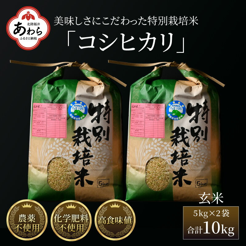 【ふるさと納税】【先行予約】【令和5年産新米】コシヒカリ 玄米 5kg×2袋（計10kg） 特別栽培米 農薬不使用 化学肥料不使用 ／ 高品質 鮮度抜群 福井県産 ブランド米･･･