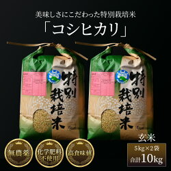 【ふるさと納税】令和4年産 新米 特別栽培米 コシヒカリ 10kg 玄米（5kg×2袋）無農薬 有機肥料 福井県産 ブランド米 農家直送 産地直送 ごはん おにぎり 弁当･･･ 画像1