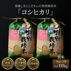 【ふるさと納税】【先行予約】【令和5年産新米】コシヒカリ 玄米 5kg×2袋（計10kg） 特別栽培米 農薬不使用 化学肥料不使用 ／ 高品質 鮮度抜群 福井県産 ブランド米･･･ 画像2