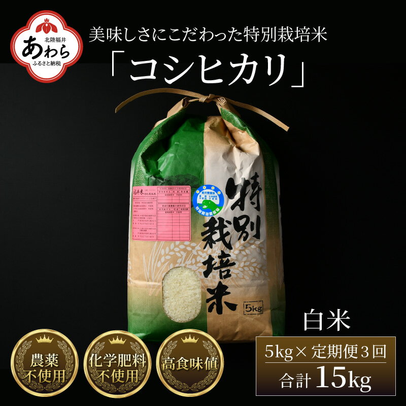 [先行予約][令和6年産][定期便3回]コシヒカリ 精米 5kg (計15kg)特別栽培米 農薬不使用 化学肥料不使用 / 高品質 鮮度抜群 福井県産 ブランド米 白米 新米 ※2024年9月下旬以降順次発送予定