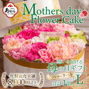 【ふるさと納税】【季節限定商品】【先行予約】フラワーケーキL Mothers day Flower Gift 花ギフト 生花 ＜母の日ギフト＞ ※2024年5月7日～11日の間にお届け / 母の日 プレゼント サプライズ 人気店 おしゃれ かわいい 花 アレンジメント ギフト メッセージカード付