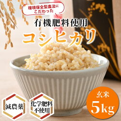 【ふるさと納税】令和4年産 コシヒカリ 玄米 5kg 特別栽培米【食味値80以上！納得の美味しさ】減農薬 有機肥料使用 ／ お米 ご飯 画像1