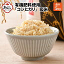 【ふるさと納税】令和4年産 コシヒカリ 玄米 5kg 特別栽培米【食味値80以上！納得の美味しさ】減農薬 有機肥料使用 ／ お米 ご飯