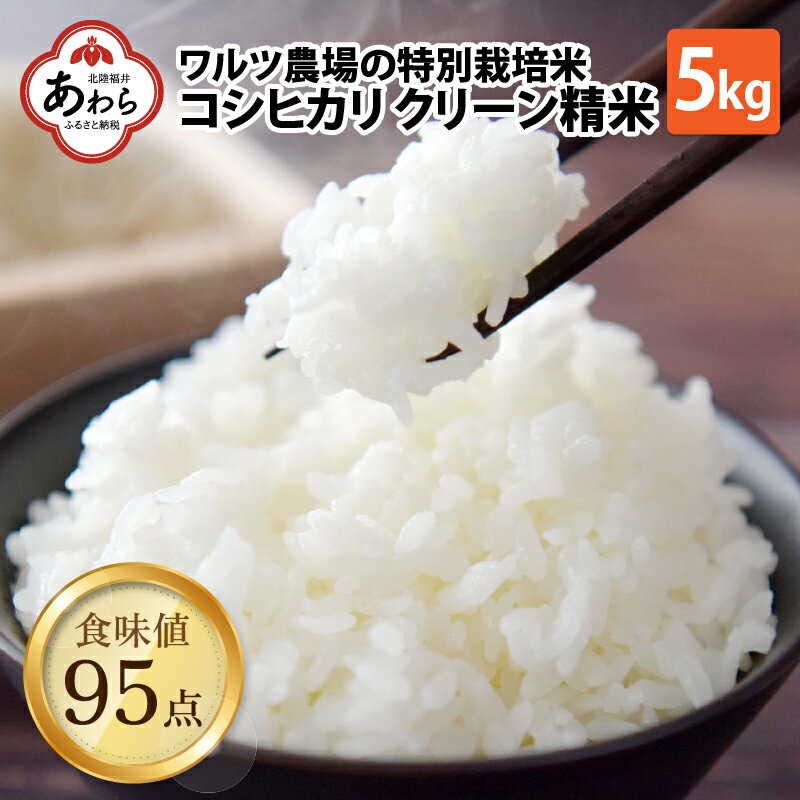 【令和5年産】ワルツ農場のコシヒカリ クリーン精米 5kg 特別栽培米【驚きの食味値95点！納得の美味しさ】減農薬 有機肥料使用 ／ お米 ご飯 白米 発送直前 精米 つや 艶 甘味 旨み 無洗米相当 あわら市産 福井県産 ブランド米あわら市