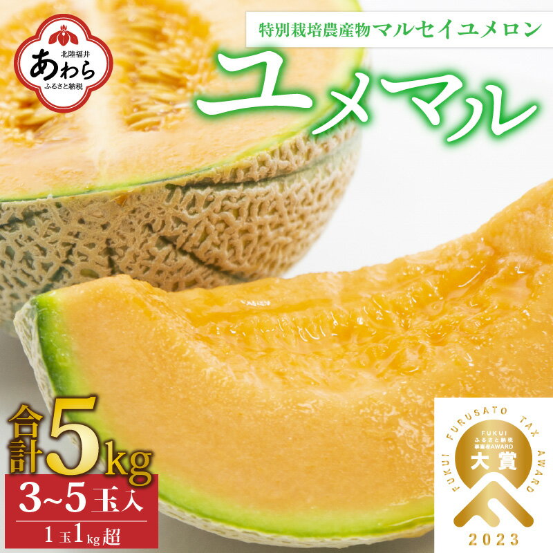 [先行予約]マルセイユメロン 3〜5玉入「ユメマル」5kg [とろけるような食感の絶品 赤肉メロン]/ 果物 フルーツ 産地直送 大賞 受賞 ※2024年6月中旬より順次発送