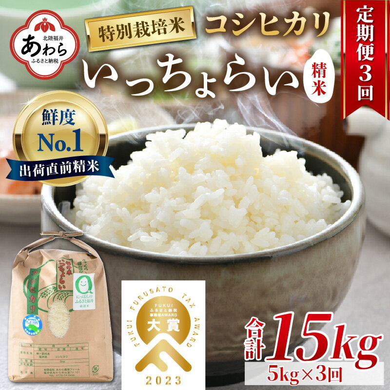 [令和5年産][定期便3回]特別栽培米 いっちょらい 精米 5kg(計15kg)/ 福井県産 ブランド米 コシヒカリ ご飯 白米 新鮮 大賞 受賞