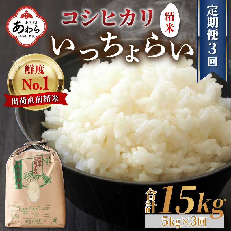 【ふるさと納税】≪定期便3回≫福井県産「いっちょらい」精米 5kg×1袋 コシヒカリ...