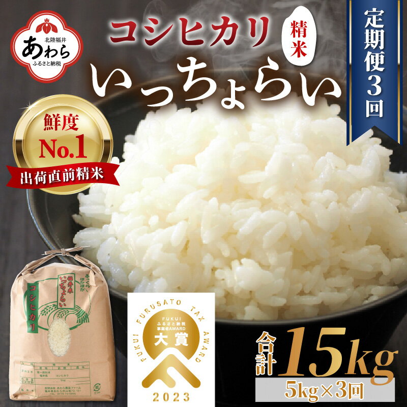 [先行予約][令和6年産新米][定期便3回]いっちょらい 精米 5kg(計15kg)/ 福井県産 ブランド米 コシヒカリ ご飯 白米 新鮮 大賞 受賞 新米 福井県あわら産 ※2024年9月中旬以降順次発送予定