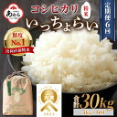 人気ランキング第26位「福井県あわら市」口コミ数「1件」評価「5」【先行予約】【令和6年産新米】《定期便6回》いっちょらい 精米 5kg（計30kg）／ 福井県産 ブランド米 コシヒカリ ご飯 白米 新鮮 大賞 受賞 新米 福井県あわら産 ※2024年9月中旬以降順次発送予定