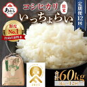 【先行予約】【ふるさと納税】【令和6年産新米】《定