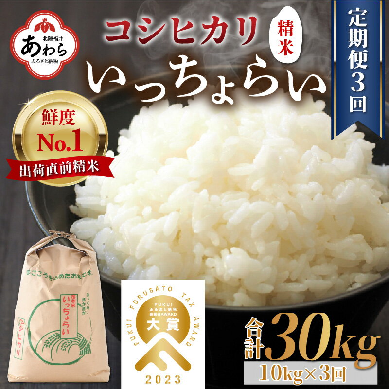 6位! 口コミ数「4件」評価「4.75」【先行予約】【令和6年産新米】《定期便3回》いっちょらい 精米 10kg（計30kg）／ 福井県産 ブランド米 コシヒカリ ご飯 白米 新鮮･･･ 