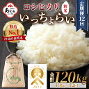 【先行予約】【ふるさと納税】【令和6年産新米】《定期便12回》いっちょらい 精米 10kg（計120kg） ／ 福井県産 ブランド米 コシヒカリ ご飯 白米 新鮮 大賞 受賞 新米 福井県あわら産 ※2024年9月中旬以降順次発送予定