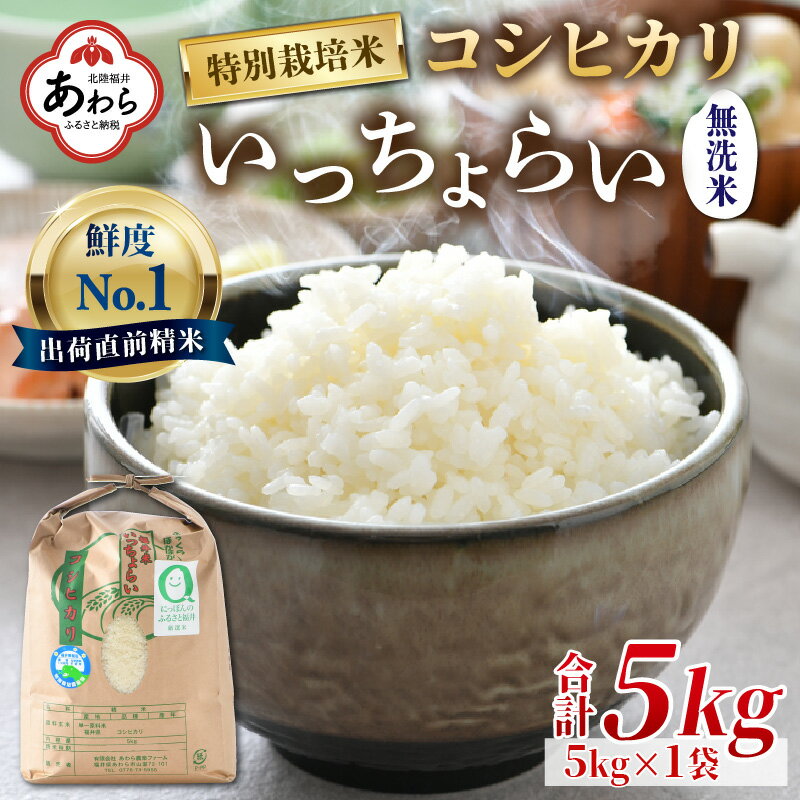 【ふるさと納税】【令和4年産】特別栽培米 いっちょらい 無洗米 5kg ／ 福井県産 ブランド米 コシヒカリ ご飯 白米 新鮮