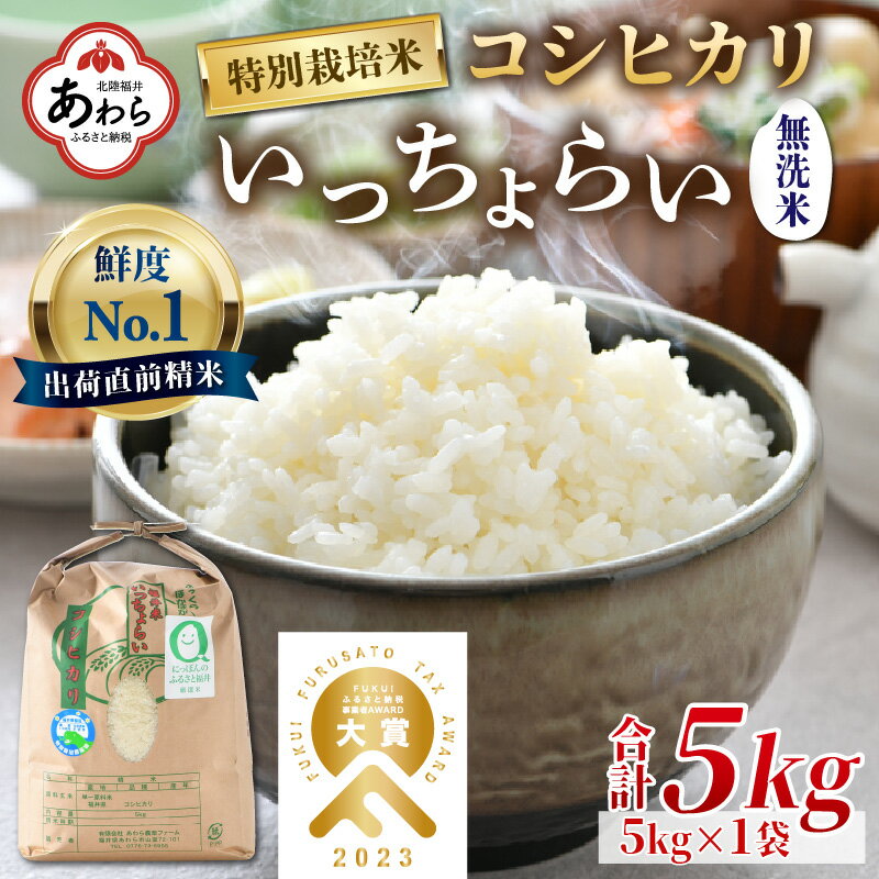 [令和5年産]特別栽培米 いっちょらい 無洗米 5kg / 福井県産 ブランド米 コシヒカリ ご飯 白米 新鮮 大賞 受賞