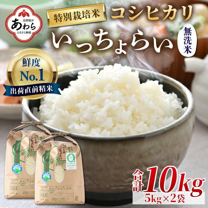 【ふるさと納税】【令和4年産新米】特別栽培米 いっちょらい 無洗米 5kg×2袋（計...