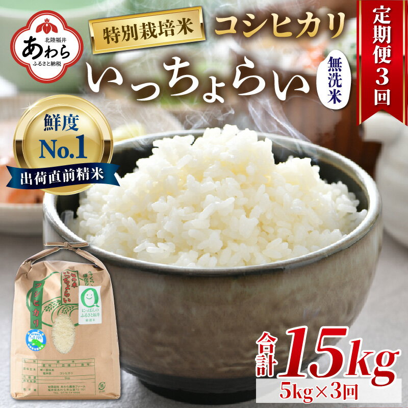 【ふるさと納税】【令和4年産】《定期便3回》特別栽培米 いっちょらい 無洗米 5kg（計15kg）／ 福井県産 ブランド米 コシヒカリ ご飯 白米 新鮮